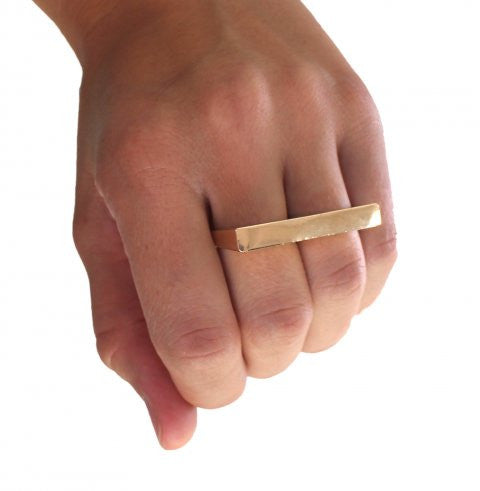 Dobbelt ring guld bar