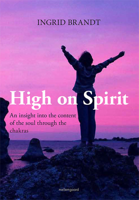Ingrid Brandt - High on Spirit