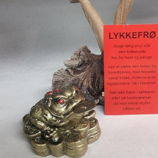 Lykkefrø med mønt