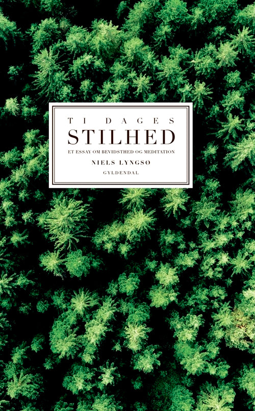 Niels Lyngsø - Ti dages Stilhed